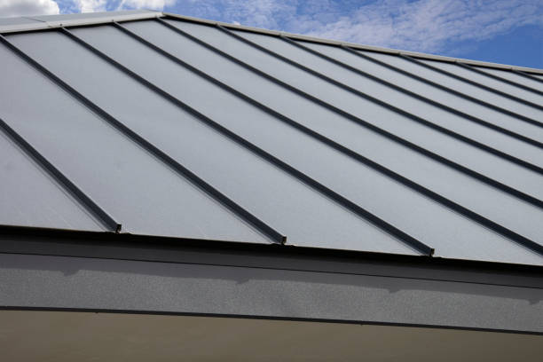 Best Skylight Installation and Repair  in Ritzville, WA