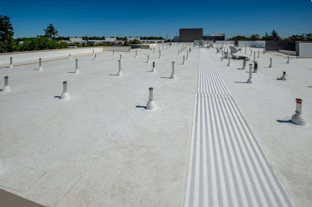Best Roof Moss and Algae Removal  in Ritzville, WA